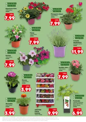 Kaufland - gazetka promocyjna Oferta Kaufland - Ogród od czwartku 23.04 do wtorku 28.04 - strona 11