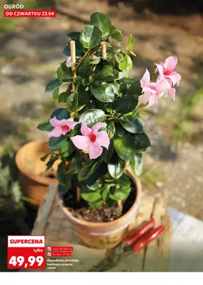 Kaufland - gazetka promocyjna Oferta Kaufland - Ogród od czwartku 23.04 do wtorku 28.04 - strona 10