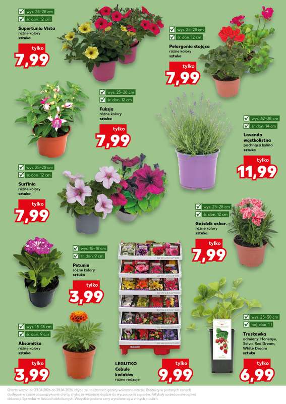 Kaufland - gazetka promocyjna Oferta Kaufland - Ogród od czwartku 23.04 do wtorku 28.04 - strona 11