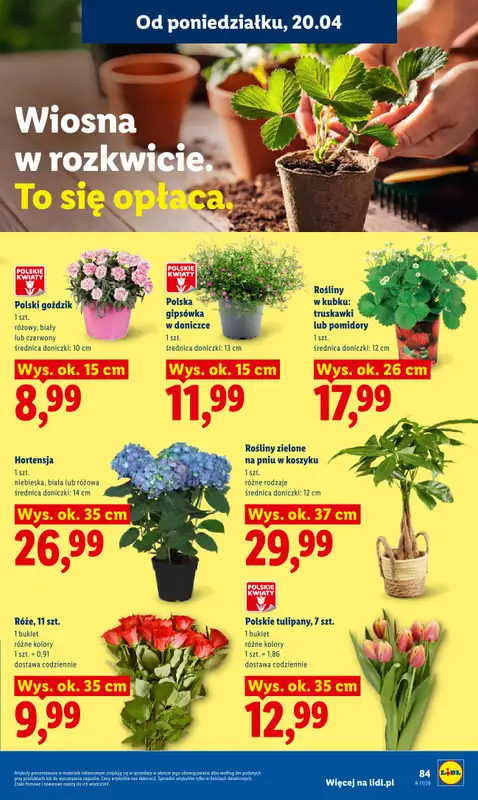 Lidl - gazetka promocyjna Oferta od poniedziałku od poniedziałku 20.04 do środy 22.04 - strona 87