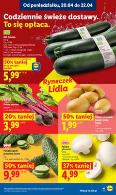 Lidl - gazetka promocyjna Oferta od poniedziałku od poniedziałku 20.04 do środy 22.04 - strona 41