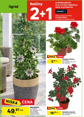 Leroy Merlin - gazetka promocyjna Gazetka od środy 22.04 do wtorku 19.05 - strona 6