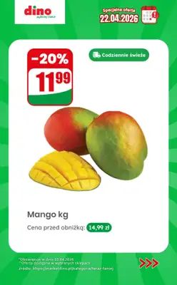 Dino - gazetka promocyjna Specjalna oferta na 22.04.2026 - promocje spoza gazetki od środy 22.04 do środy 22.04 - strona 5