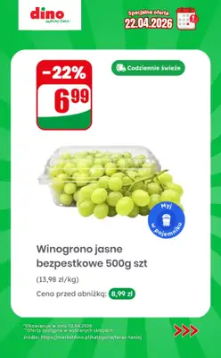 Dino - gazetka promocyjna Specjalna oferta na 22.04.2026 - promocje spoza gazetki od środy 22.04 do środy 22.04 - strona 3