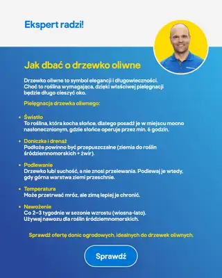 Castorama - gazetka promocyjna Ogród od środy 22.04 do wtorku 12.05 - strona 31