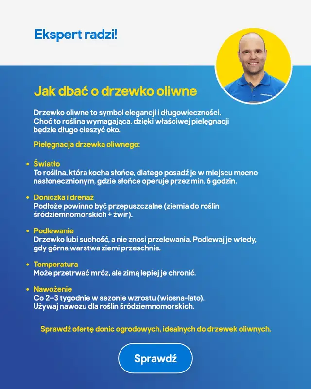 Castorama - gazetka promocyjna Ogród od środy 22.04 do wtorku 12.05 - strona 31