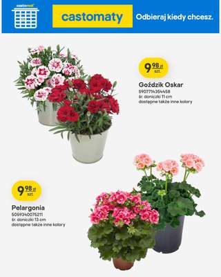 Castorama - gazetka promocyjna Ogród od środy 22.04 do wtorku 12.05 - strona 37