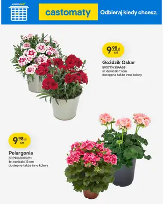 Castorama - gazetka promocyjna Ogród od środy 22.04 do wtorku 12.05 - strona 37