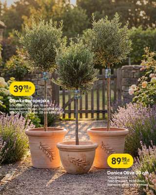 Castorama - gazetka promocyjna Ogród od środy 22.04 do wtorku 12.05 - strona 27