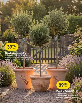 Castorama - gazetka promocyjna Ogród od środy 22.04 do wtorku 12.05 - strona 27