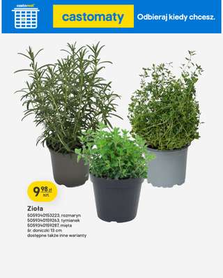 Castorama - gazetka promocyjna Ogród od środy 22.04 do wtorku 12.05 - strona 38