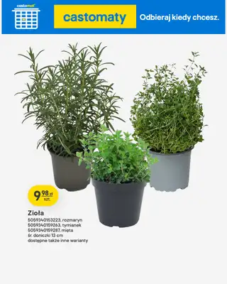 Castorama - gazetka promocyjna Ogród od środy 22.04 do wtorku 12.05 - strona 38