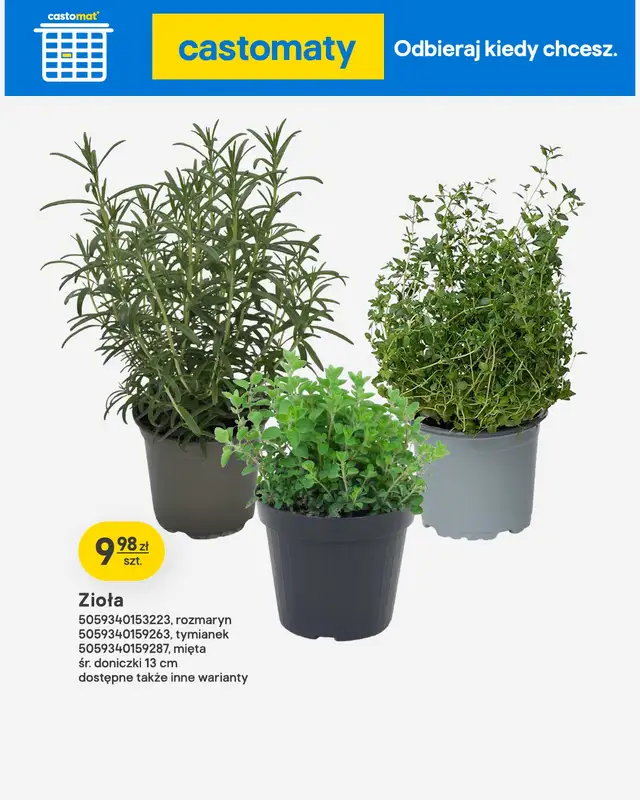 Castorama - gazetka promocyjna Ogród od środy 22.04 do wtorku 12.05 - strona 38