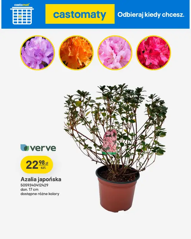 Castorama - gazetka promocyjna Ogród od środy 22.04 do wtorku 12.05 - strona 29