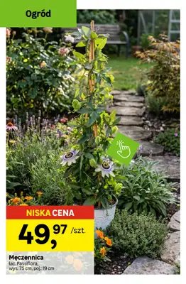 Leroy Merlin - gazetka promocyjna Okazje na Majówkę! od środy 22.04 do wtorku 19.05 - strona 6