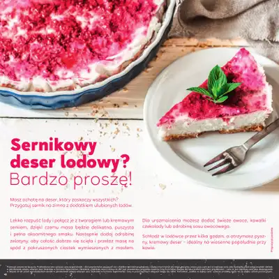 Stokrotka - gazetka promocyjna Katalog Grill!  do środy 06.05 - strona 42