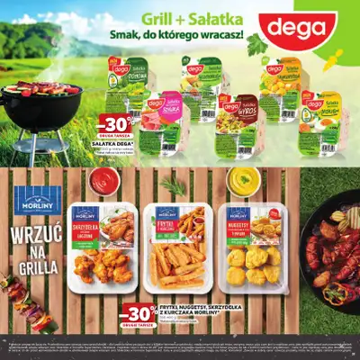 Stokrotka - gazetka promocyjna Katalog Grill!  do środy 06.05 - strona 37