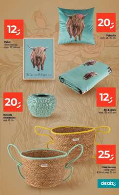 Dealz - gazetka promocyjna Make a Dealz! od czwartku 23.04 do środy 29.04 - strona 37