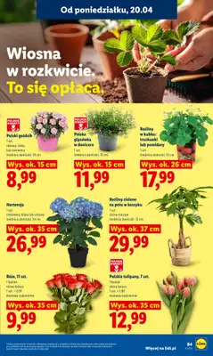 Lidl - gazetka promocyjna Oferta od czwartku od czwartku 23.04 do niedzieli 26.04 - strona 87