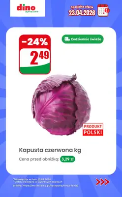 Dino - gazetka promocyjna Specjalna oferta na 23.04.2026 - promocje spoza gazetki od czwartku 23.04 do czwartku 23.04 - strona 3