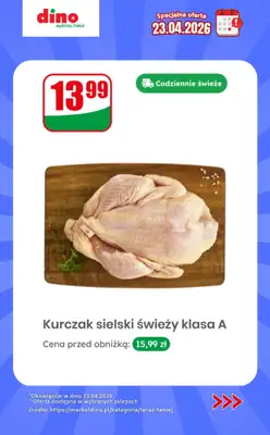 Dino - gazetka promocyjna Specjalna oferta na 23.04.2026 - promocje spoza gazetki od czwartku 23.04 do czwartku 23.04 - strona 4