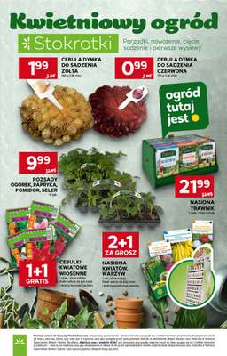 Stokrotka - gazetka promocyjna Gazetka Supermarket od czwartku 23.04 do wtorku 28.04 - strona 51
