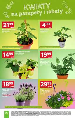 Stokrotka - gazetka promocyjna Gazetka Supermarket od czwartku 23.04 do wtorku 28.04 - strona 52