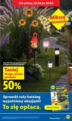 Lidl - gazetka promocyjna Oferta od czwartku od czwartku 23.04 do niedzieli 26.04 - strona 41