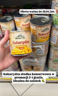 Dino - gazetka promocyjna Zakupowe inspiracje w Dino od soboty 25.04  - strona 13