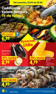 Lidl - gazetka promocyjna Oferta od czwartku od czwartku 23.04 do niedzieli 26.04 - strona 46