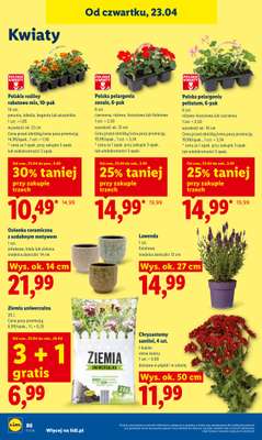 Lidl - gazetka promocyjna Oferta od czwartku od czwartku 23.04 do niedzieli 26.04 - strona 90