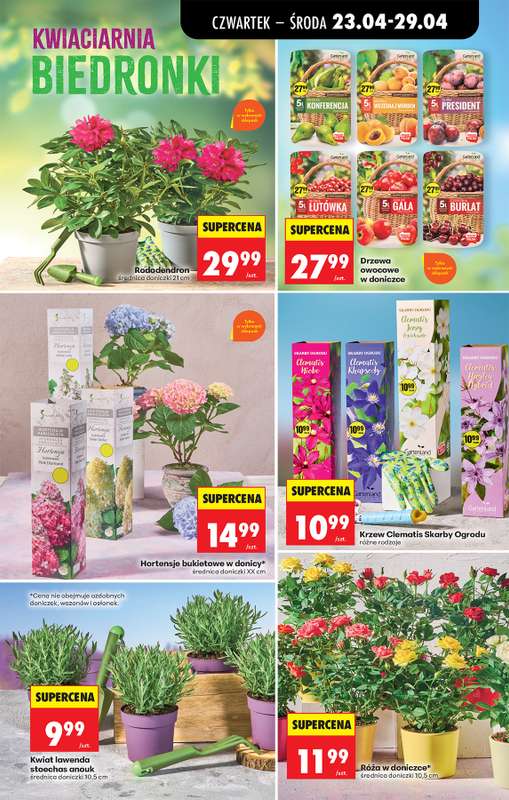 Biedronka - gazetka promocyjna Od czwartku od czwartku 23.04 do środy 29.04 - strona 93