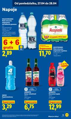 Lidl - gazetka promocyjna Oferta od poniedziałku od poniedziałku 27.04 do wtorku 28.04 - strona 75
