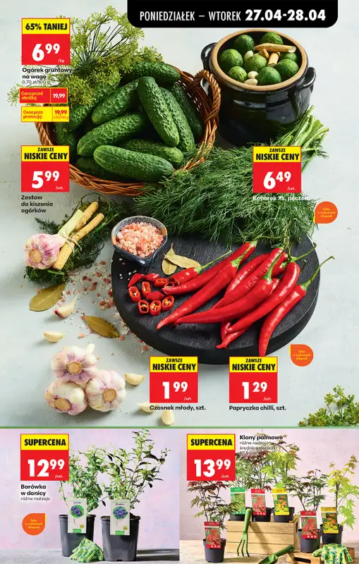 Biedronka - gazetka promocyjna Od poniedziałku od poniedziałku 27.04 do soboty 02.05 - strona 41