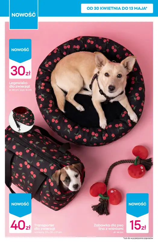 Pepco - gazetka promocyjna Gazetka od czwartku 30.04 do środy 06.05 - strona 8