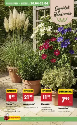 Biedronka - gazetka promocyjna Od czwartku od czwartku 23.04 do środy 29.04 - strona 93