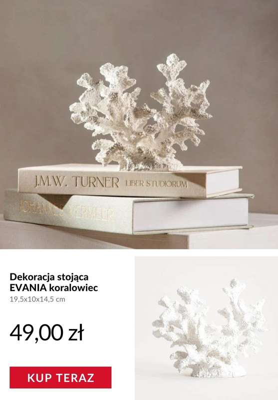 Homla - gazetka promocyjna Dekoracje inspirowane podwodnym światem od poniedziałku 27.04  - strona 4