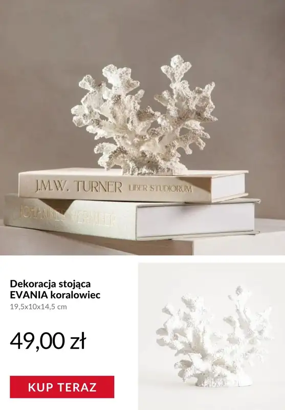 Homla - gazetka promocyjna Dekoracje inspirowane podwodnym światem od poniedziałku 27.04  - strona 4