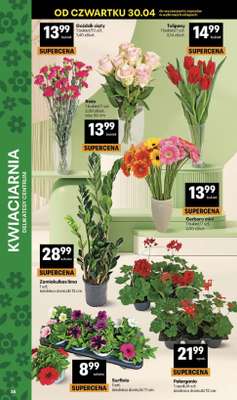 Delikatesy Centrum - gazetka promocyjna Gazetka  do środy 06.05 - strona 38