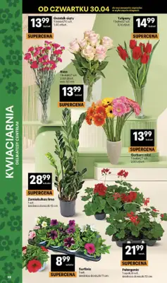 Delikatesy Centrum - gazetka promocyjna Gazetka  do środy 06.05 - strona 38