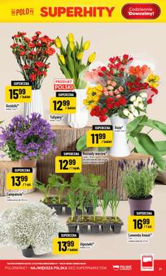 POLOmarket - gazetka promocyjna Gazetka od środy 29.04 do wtorku 05.05 - strona 21