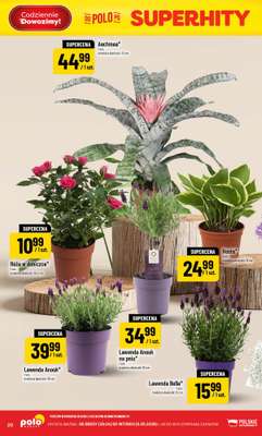 POLOmarket - gazetka promocyjna Gazetka od środy 29.04 do wtorku 05.05 - strona 20