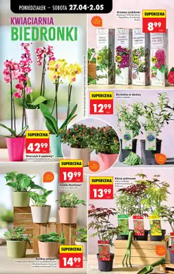 Biedronka - gazetka promocyjna Od poniedziałku od poniedziałku 27.04 do soboty 02.05 - strona 92