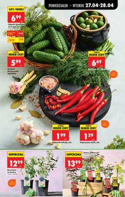 Biedronka - gazetka promocyjna Od poniedziałku od poniedziałku 27.04 do soboty 02.05 - strona 41