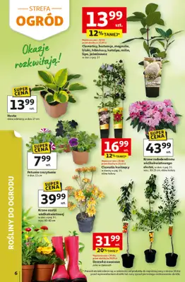 Auchan - gazetka promocyjna Gazetka 30 Lat Hipermarket Auchan od środy 29.04 do środy 06.05 - strona 6