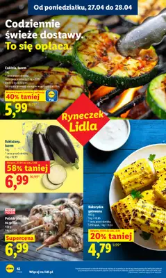 Lidl - gazetka promocyjna Oferta od poniedziałku od poniedziałku 27.04 do wtorku 28.04 - strona 42
