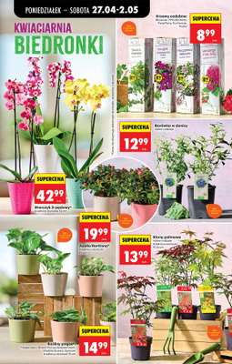 Biedronka - gazetka promocyjna Od poniedziałku od poniedziałku 27.04 do soboty 02.05 - strona 102