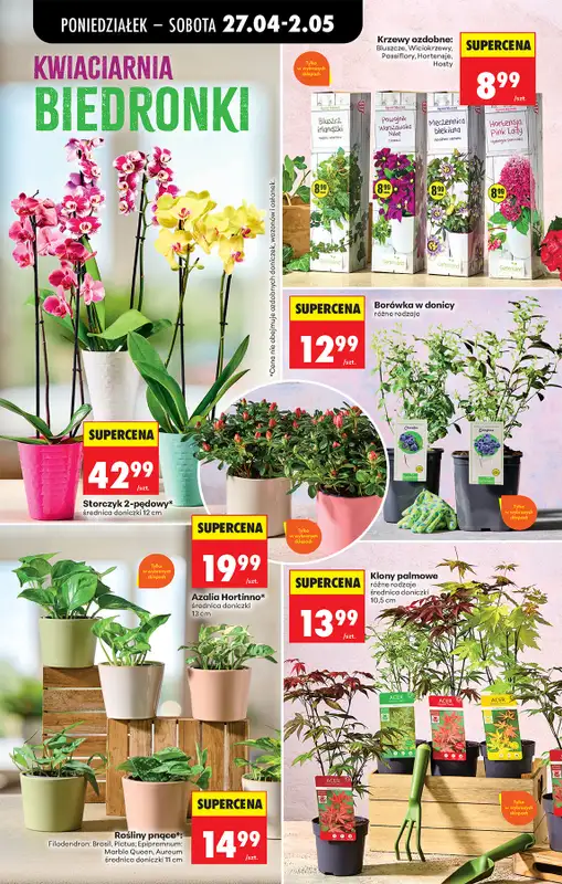 Biedronka - gazetka promocyjna Od poniedziałku od poniedziałku 27.04 do soboty 02.05 - strona 102