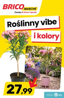 Bricomarche - gazetka promocyjna Roślinny vibe i kolory! od wtorku 28.04 do soboty 02.05
