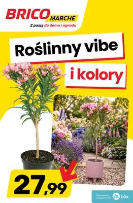 Bricomarche - gazetka promocyjna Roślinny vibe i kolory! od wtorku 28.04 do soboty 02.05